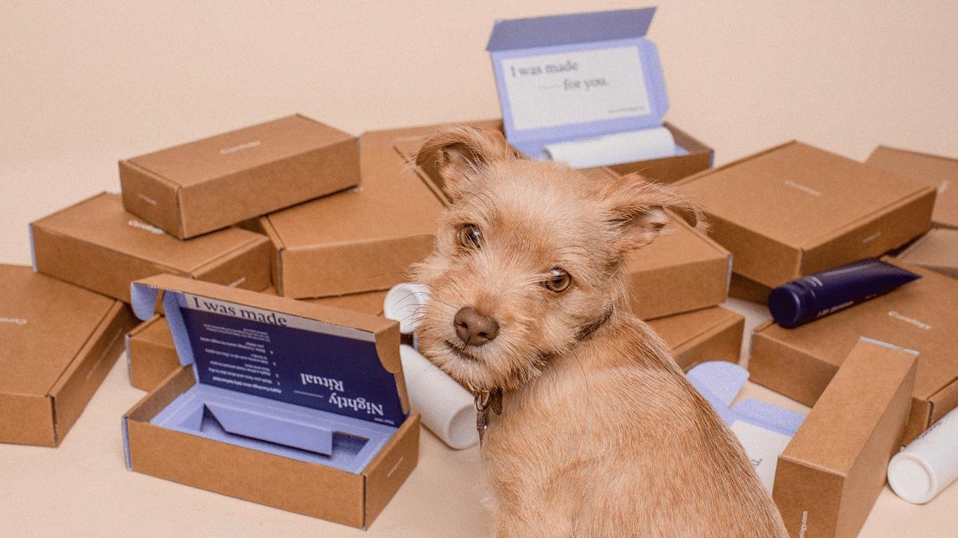 Memilih Produk Packaging yang Benar